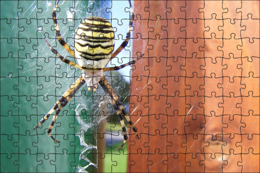 Step puzzle человек паук. Паук пазл игра. Пазлы человек паук 500. Пазл спайдермен. Человек-паук пазл.