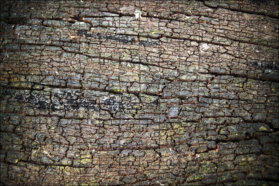 Сколько гниет каменная стена