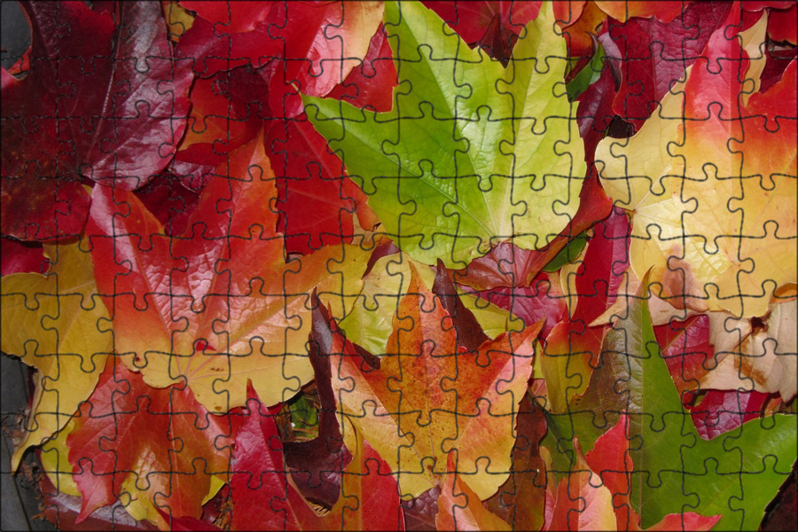 Листики осень. Разноцветными листьями осень. Разноцветные листья. Кленовый крашеный лист. Осенняя листва.