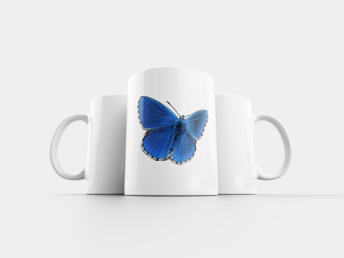 Бабочка с кружками 13 букв. Кружка бабочки. Чашка с бабочками. Кружка с бабочками голубая. Кружка с мотыльками.