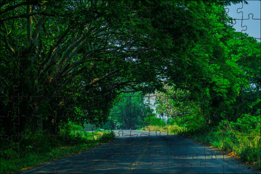 View ga. летняя дорога. дорога в лесу. дорого из зелёной травы в верх. зеленый можно путь.