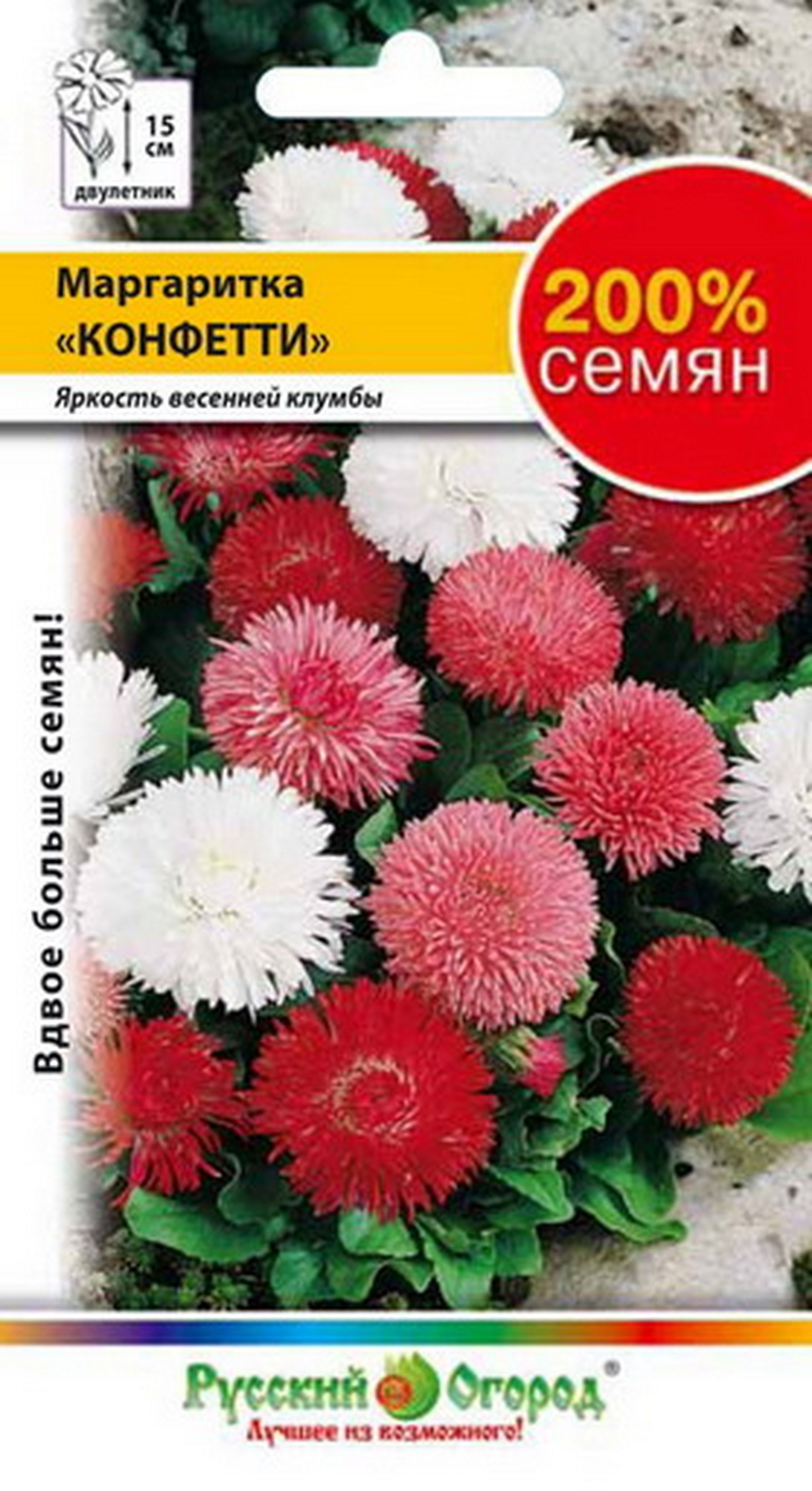 Маргаритки Семена Купить