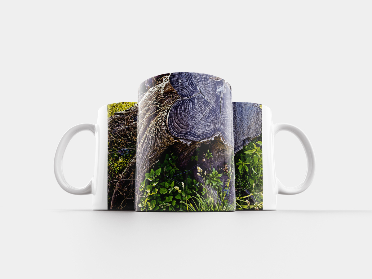 кружки корень