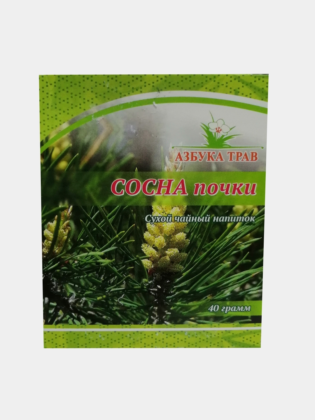 Купить Почку Сосны Оптом