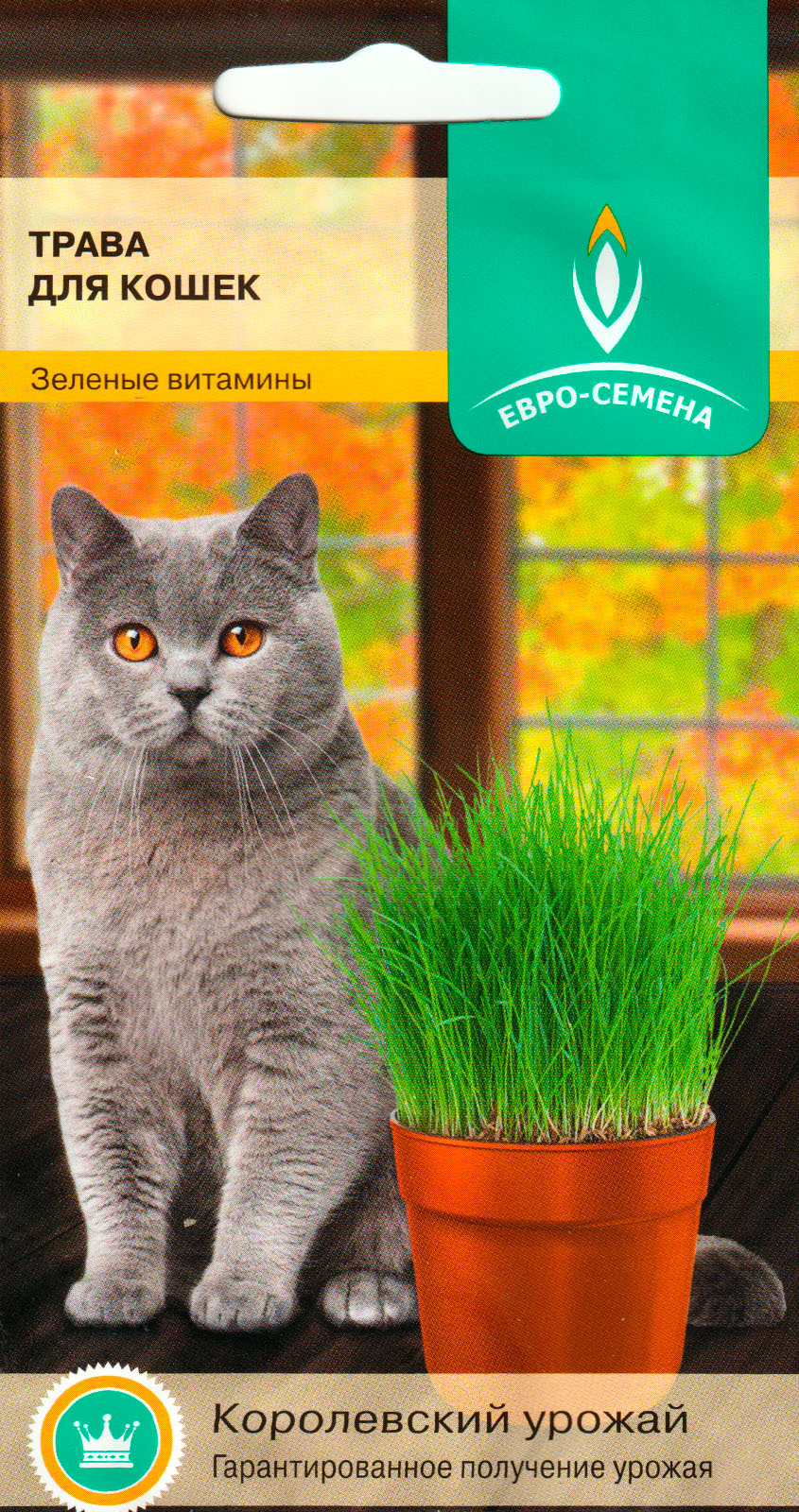 Евро-Семена для кошек -1 - купить по выгодным ценам в интернет-магазине ...