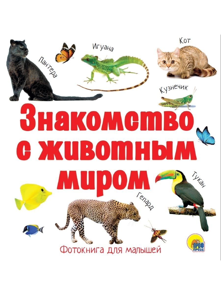 Надпись животные. Надпись животный мир. Мир животных надпись. Книги с животными. В мире животных надпись.