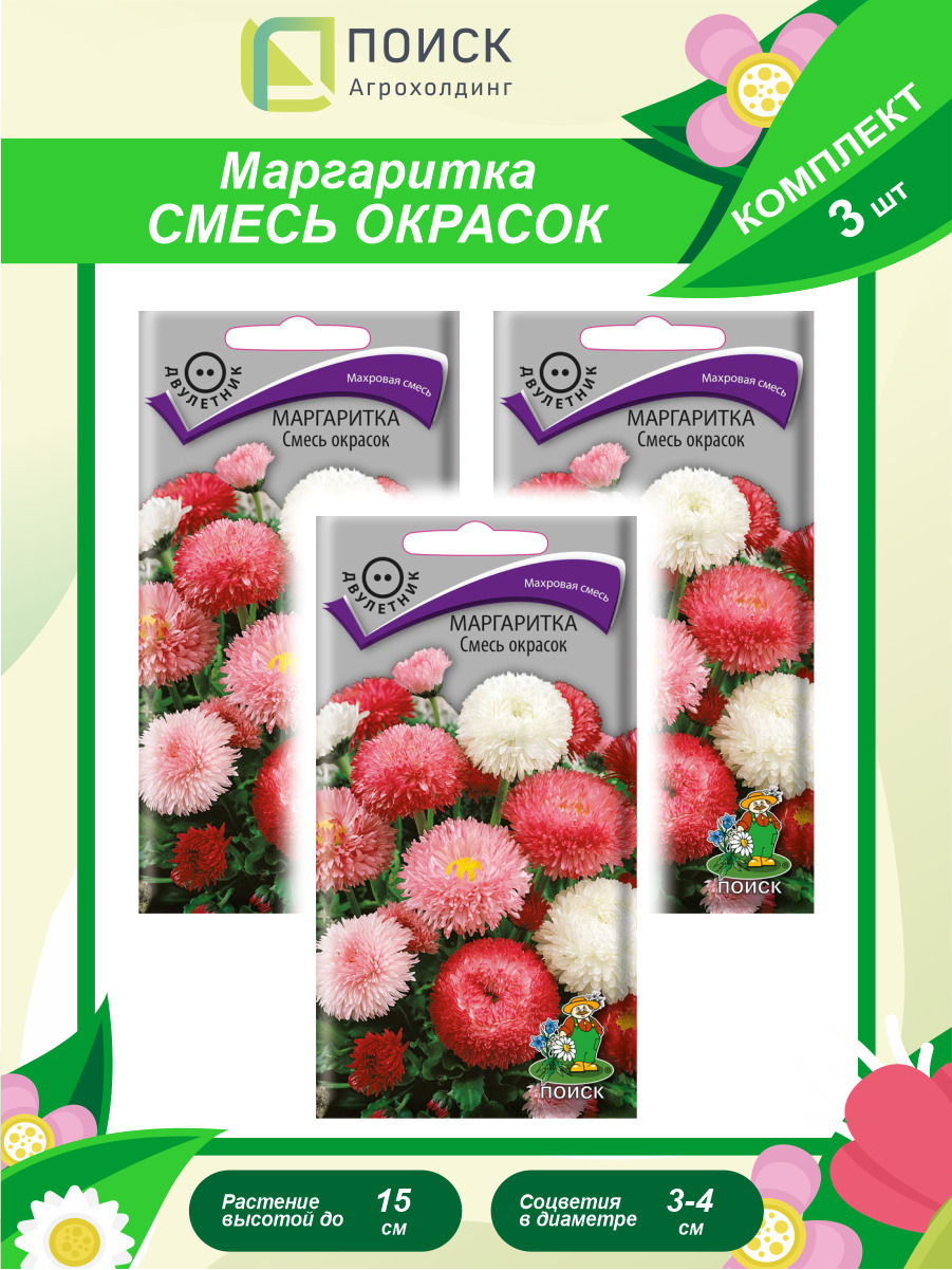 Маргаритки Семена Купить