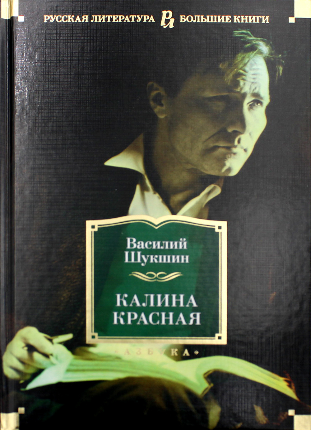 Калина красная: повести, рассказы | Шукшин Василий Макарович - купить с  доставкой по выгодным ценам в интернет-магазине OZON (537960437)