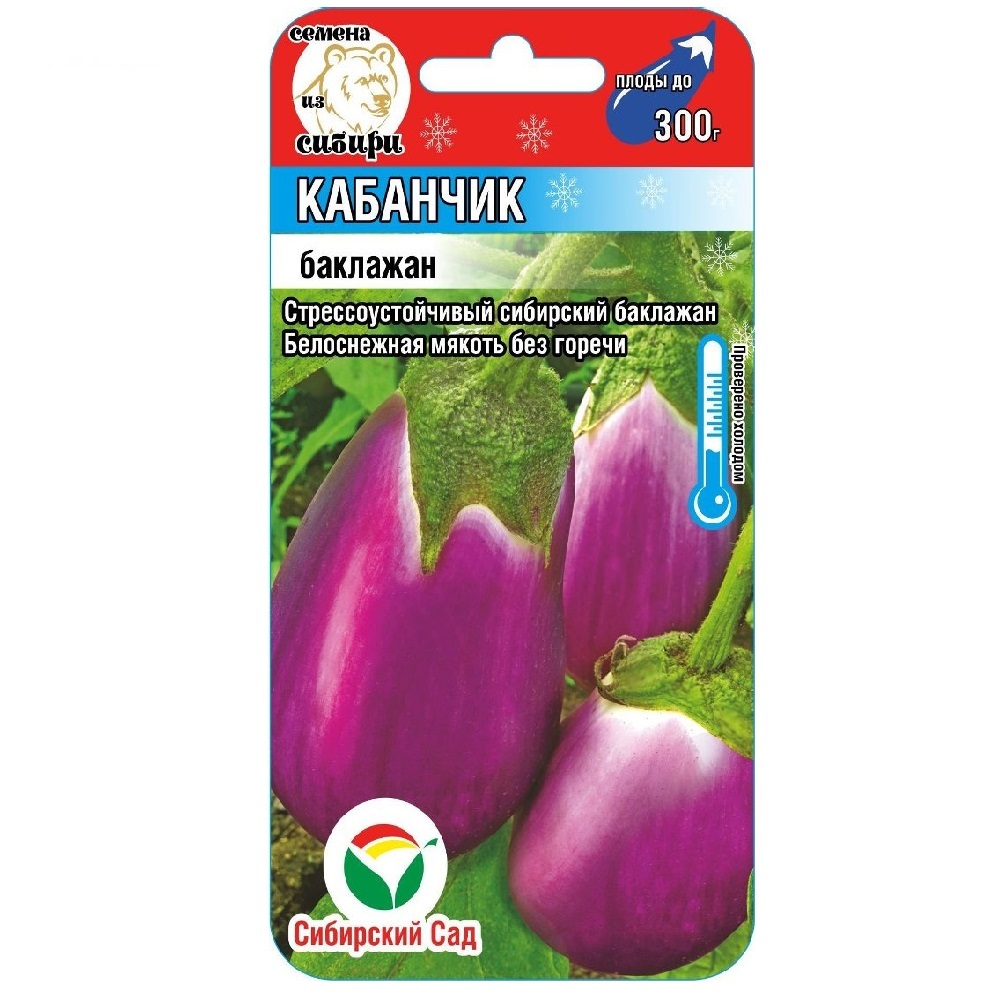 Баклажан кабанчик описание сорта фото отзывы Баклажан Кабанчик 5 п + подарок грунт - купить по выгодным ценам в интернет-мага