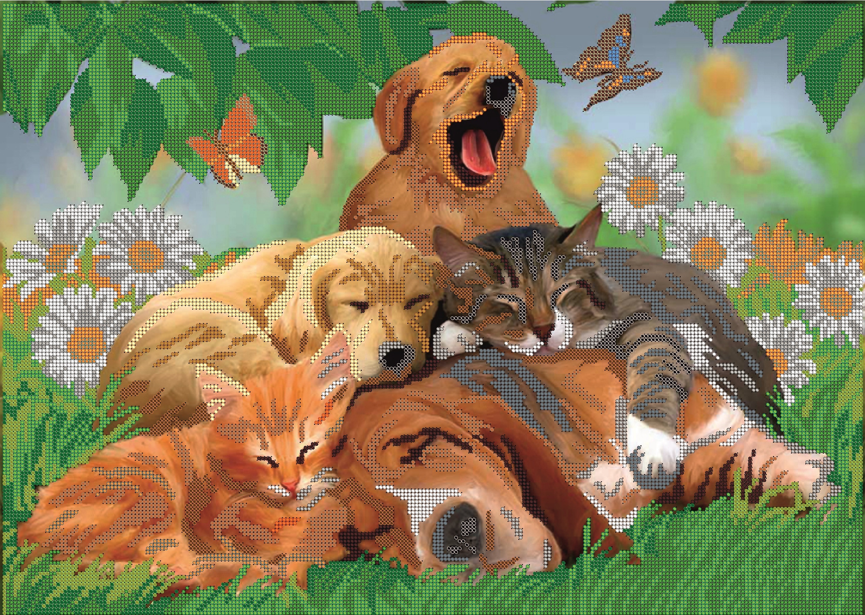 В окружении животных. Собачки и кошечки. Картина животные. Собака и кошка вместе. Картина домашние животные.