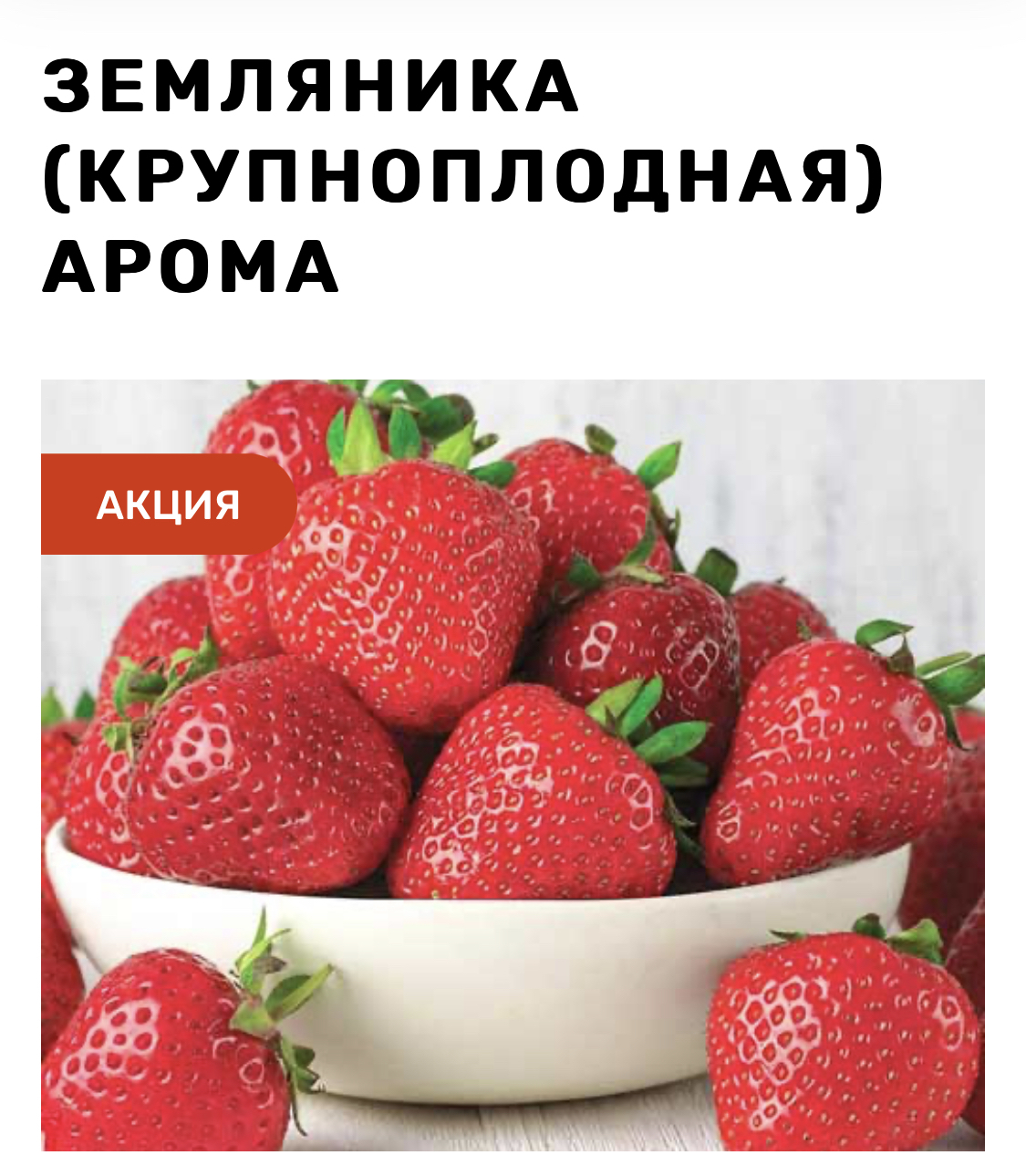 Таго клубника описание. Клубника Кембридж Фаворит. Земляника Фаворит. Земляника крупноплодная. Клубника сорт Флоренс.