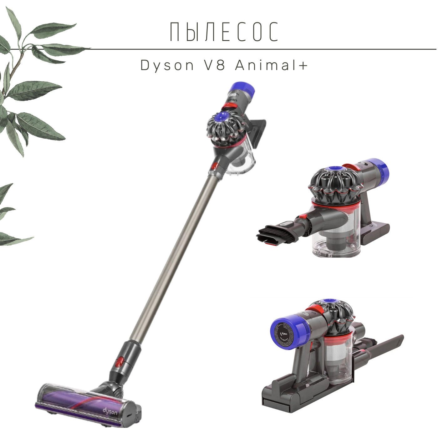 Пылесос вертикальный Dyson V8 Animal+, РОСТЕСТ - купить с доставкой по  выгодным ценам в интернет-магазине OZON (671922840)