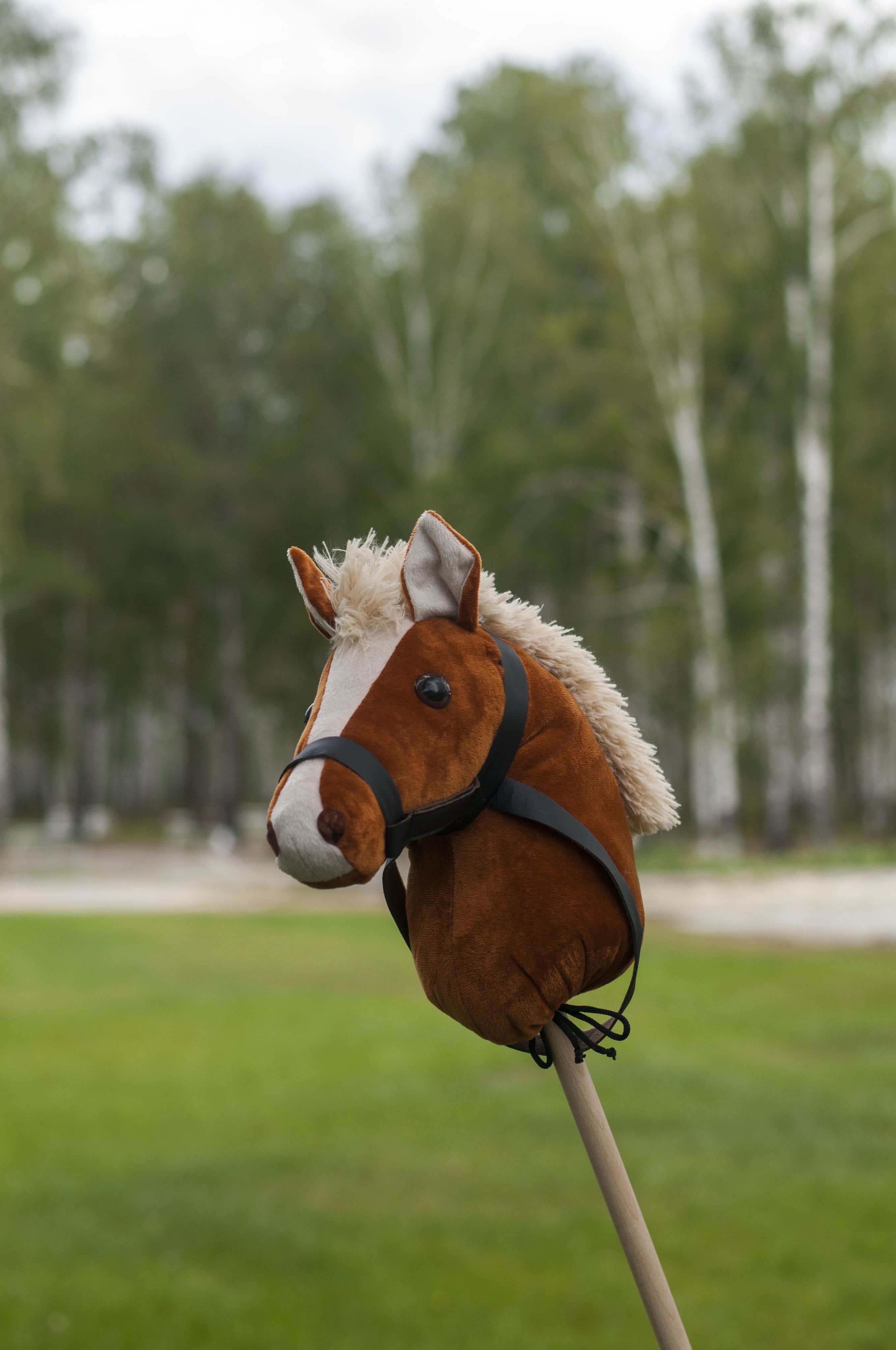 Лошадь на палке