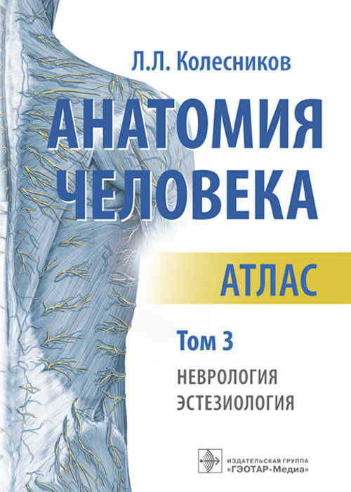 Купить Анатомию Человека В 3 Томах