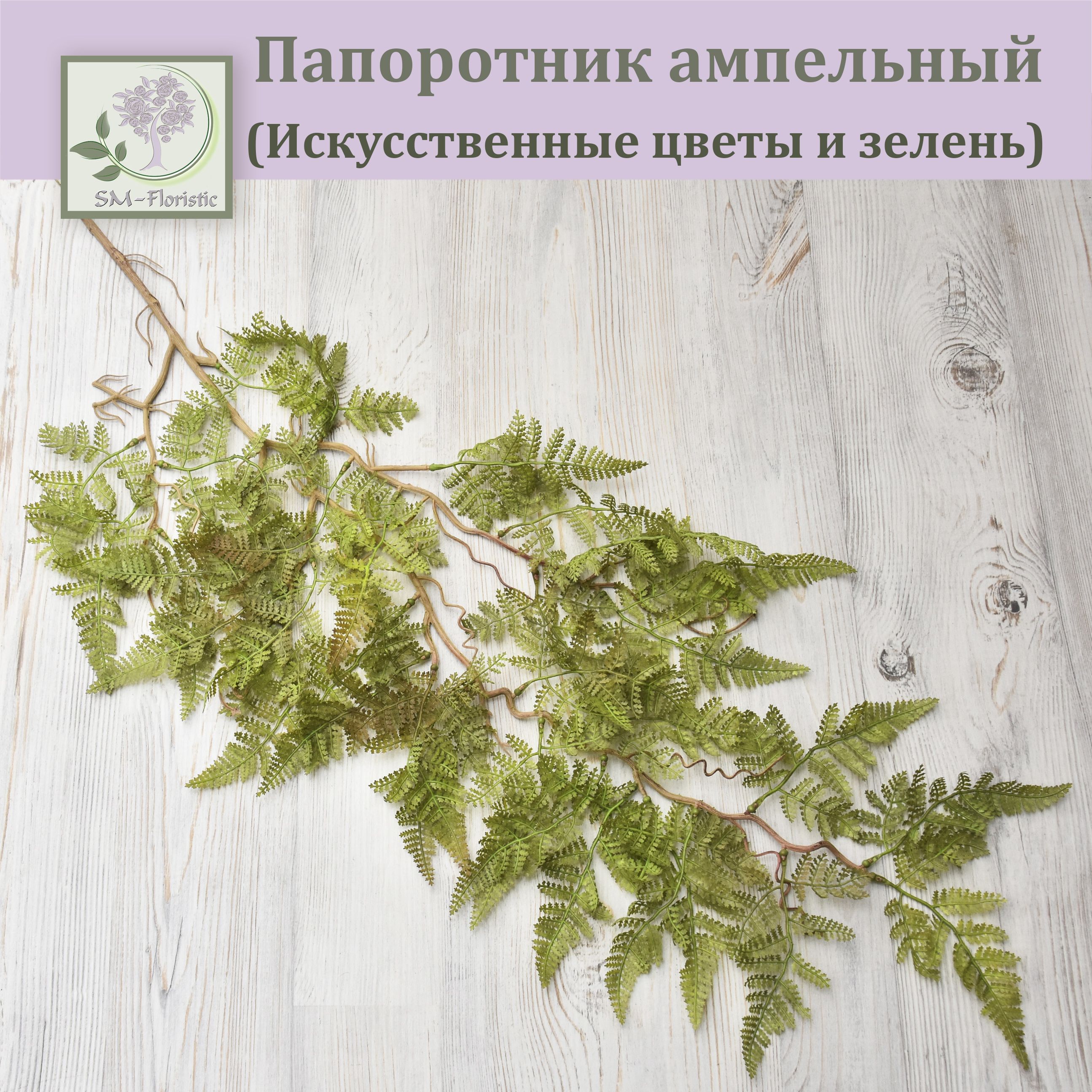 Комнатные Цветы Папоротник Купить В Пензе