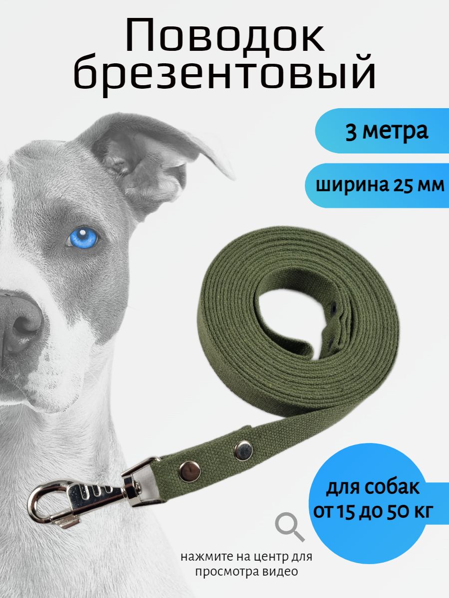 Поводок для собак брезентовый с карабином (Зеленый) 3 м х 25 мм - купить с  доставкой по выгодным ценам в интернет-магазине OZON (203502212)