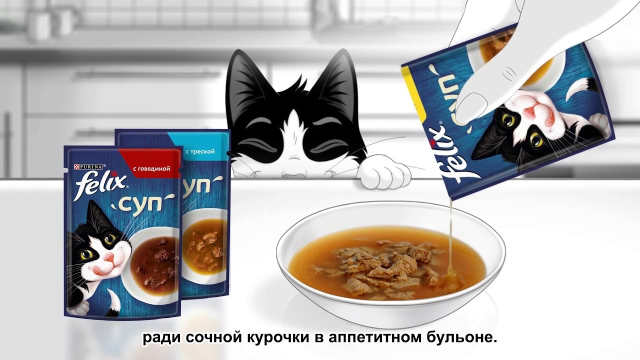 Суп для кошек феликс