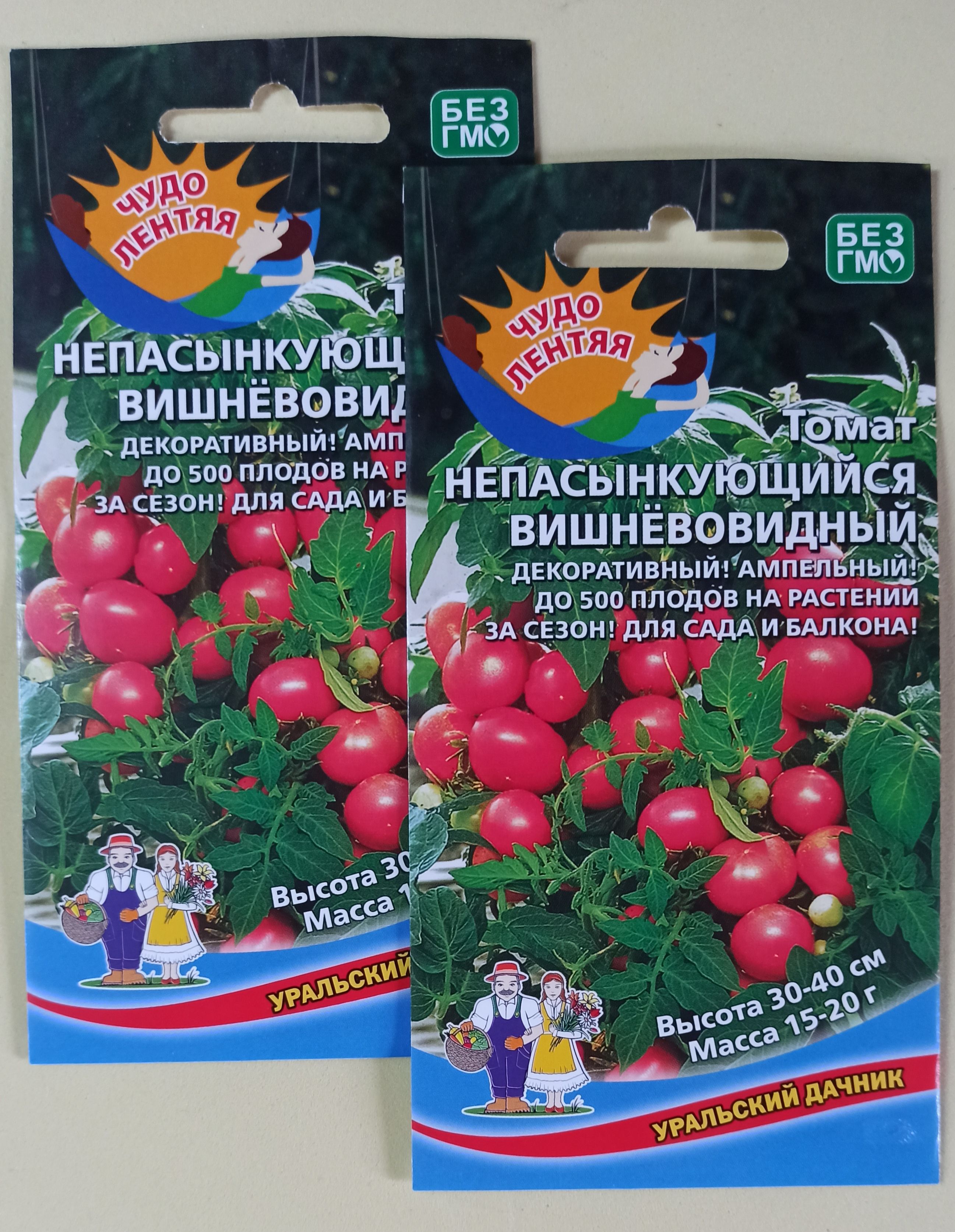 томат семеновна отзывы фото урожайность