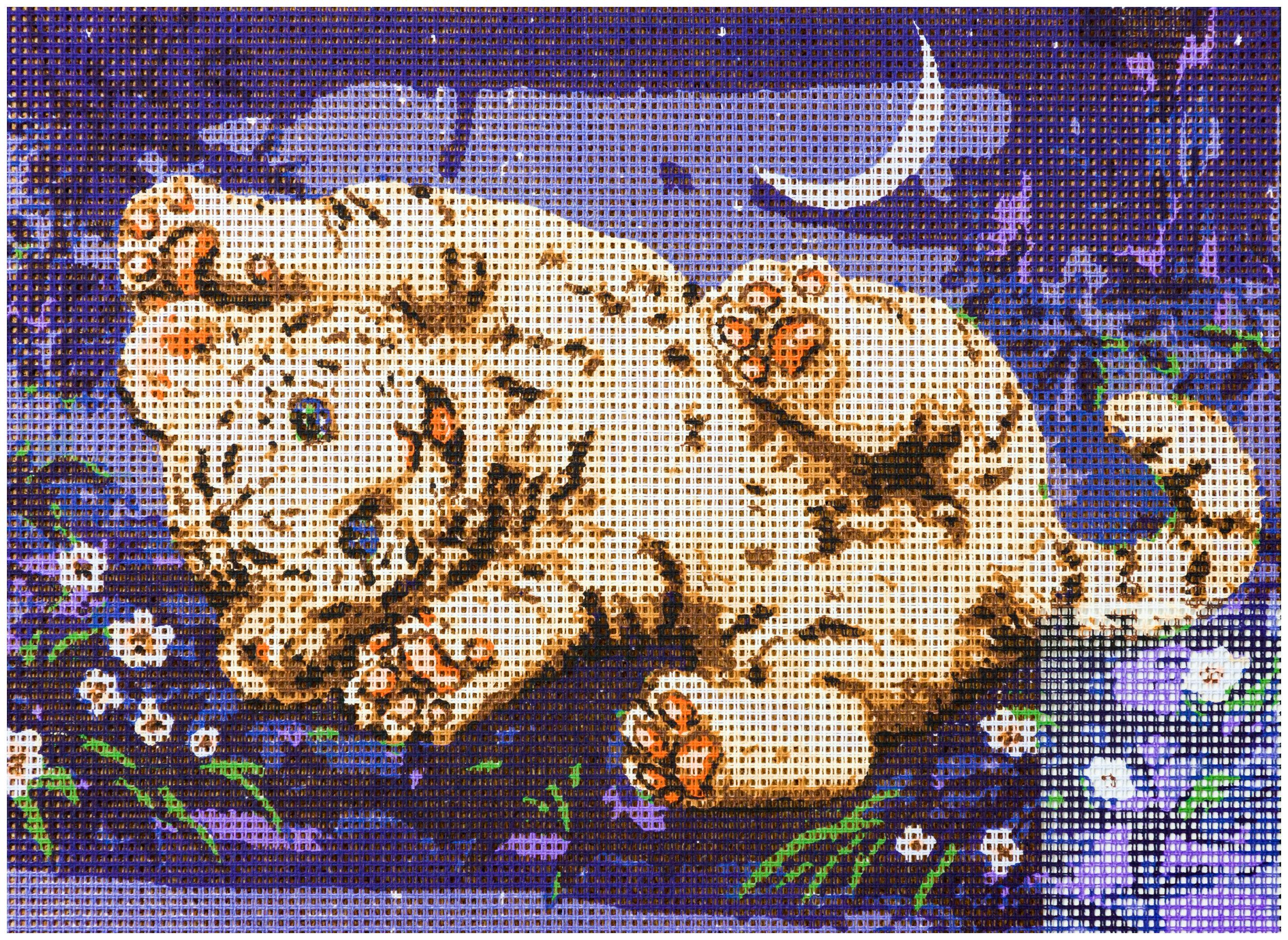 Grafitec канва с рисунком