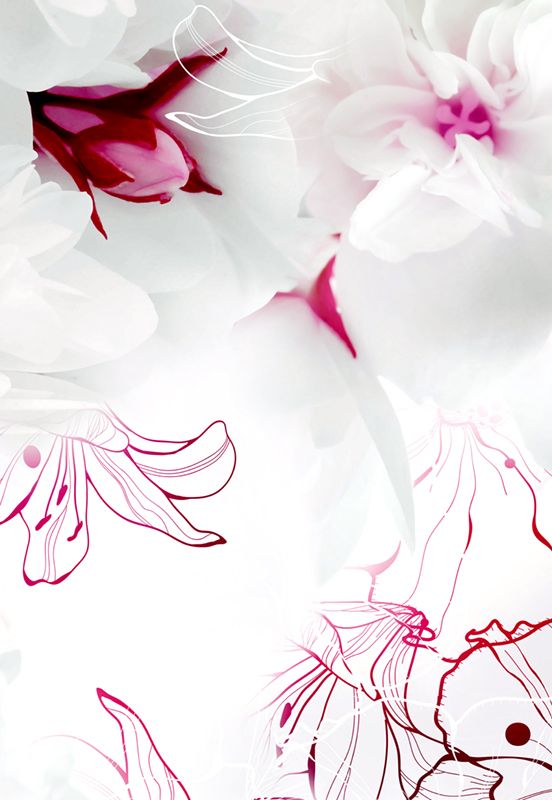 Роза 1м50см. Цветы 200 см. Букет метровых роз. Цветы 200 см. Маги уют фотообои производитель.