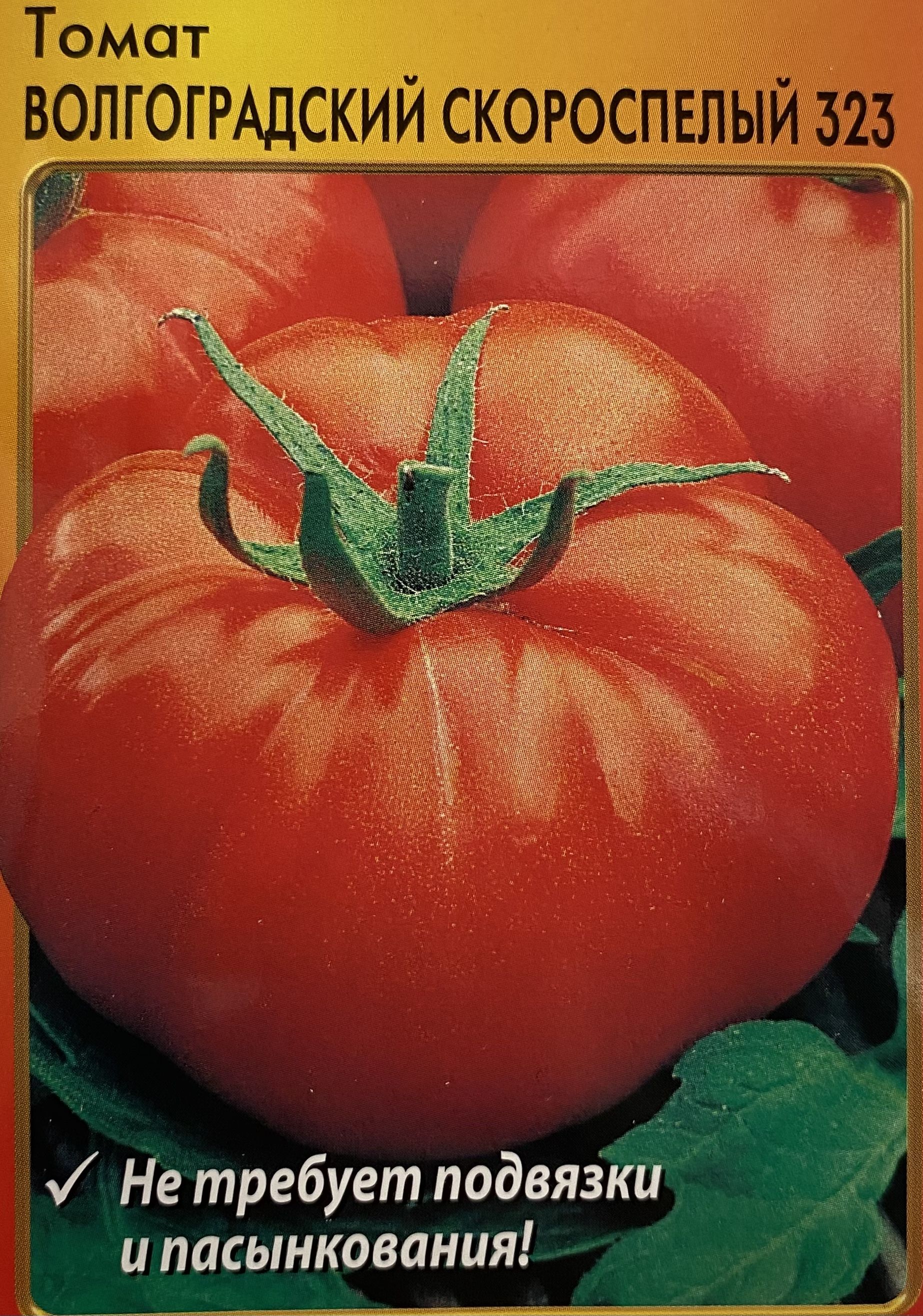 помидор волгоградский отзывы фото