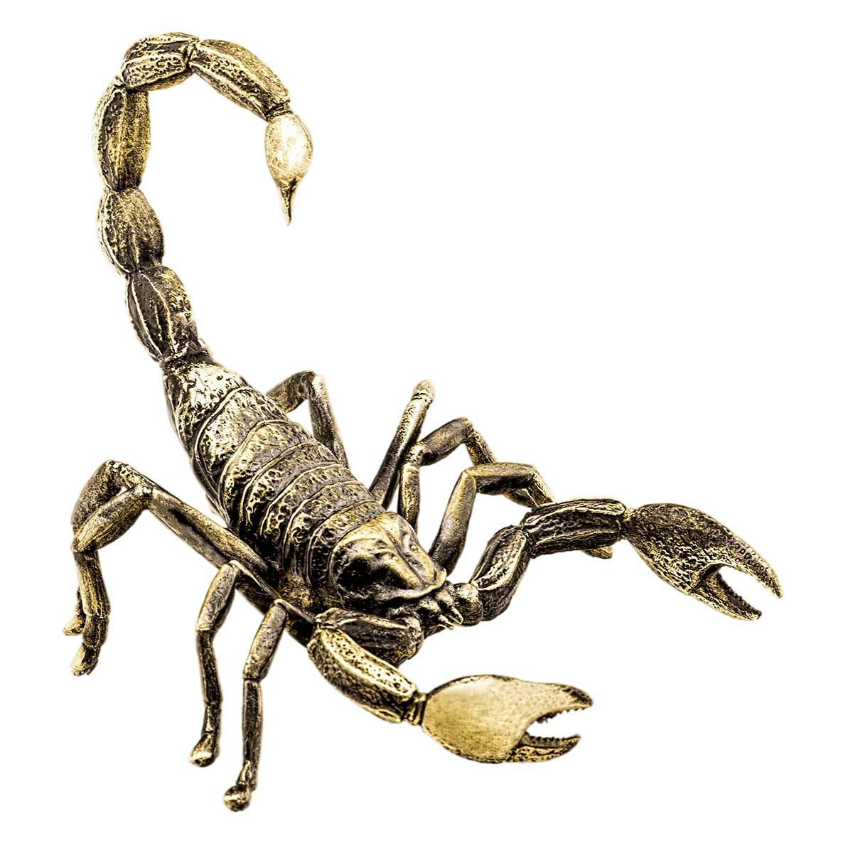Скорпион гигант