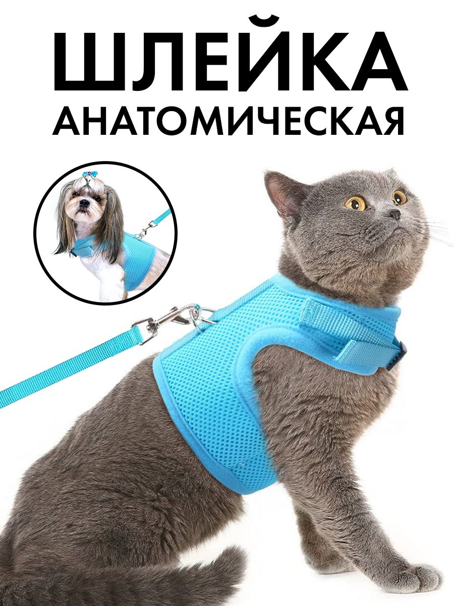 Шлейка для кошек с поводком 1.5 м для прогулки / Шлейка для кроликов и  собак мелких пород / голубая - купить с доставкой по выгодным ценам в  интернет-магазине OZON (687600542)