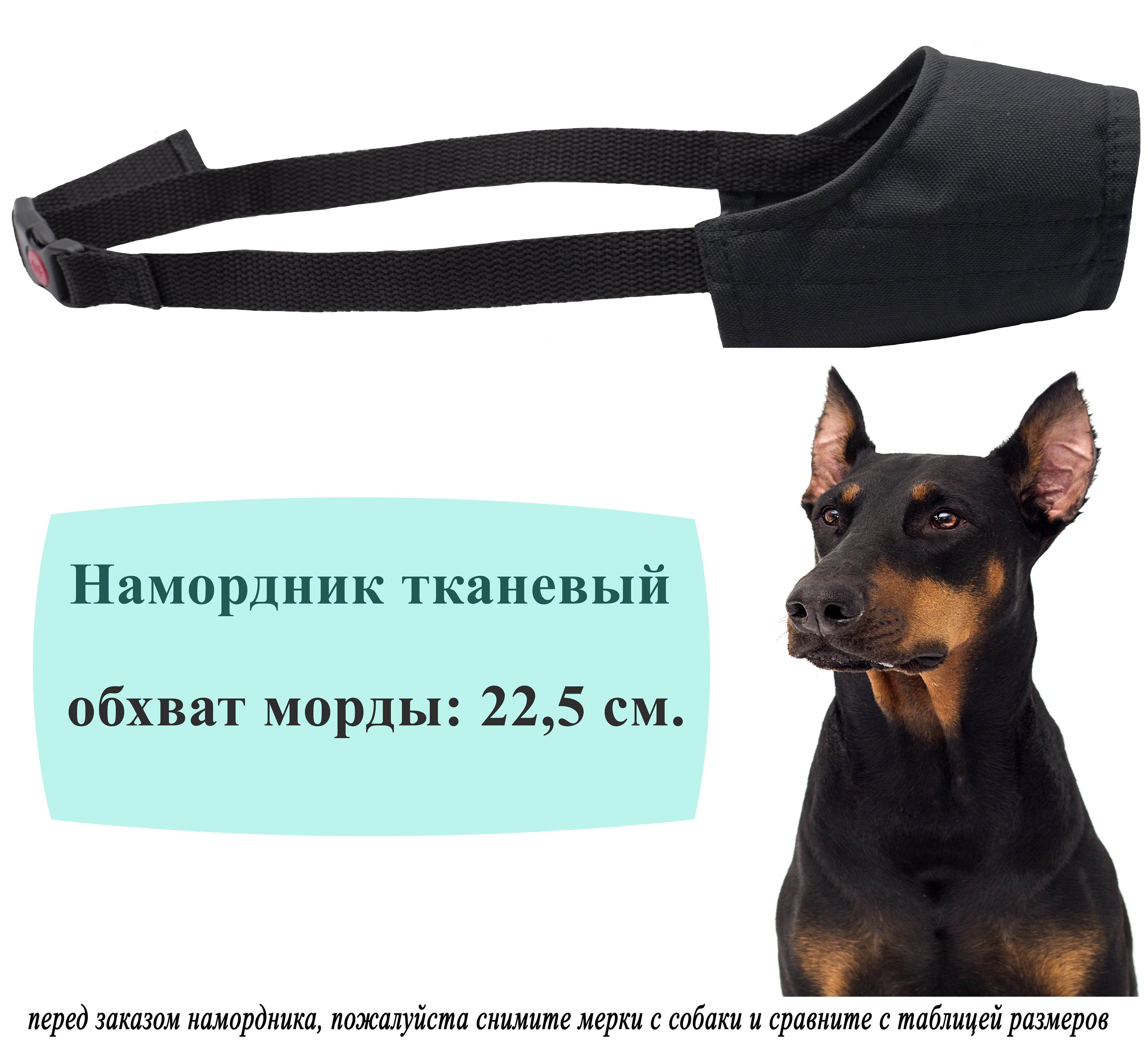 Намордники Для Средних Собак Купить