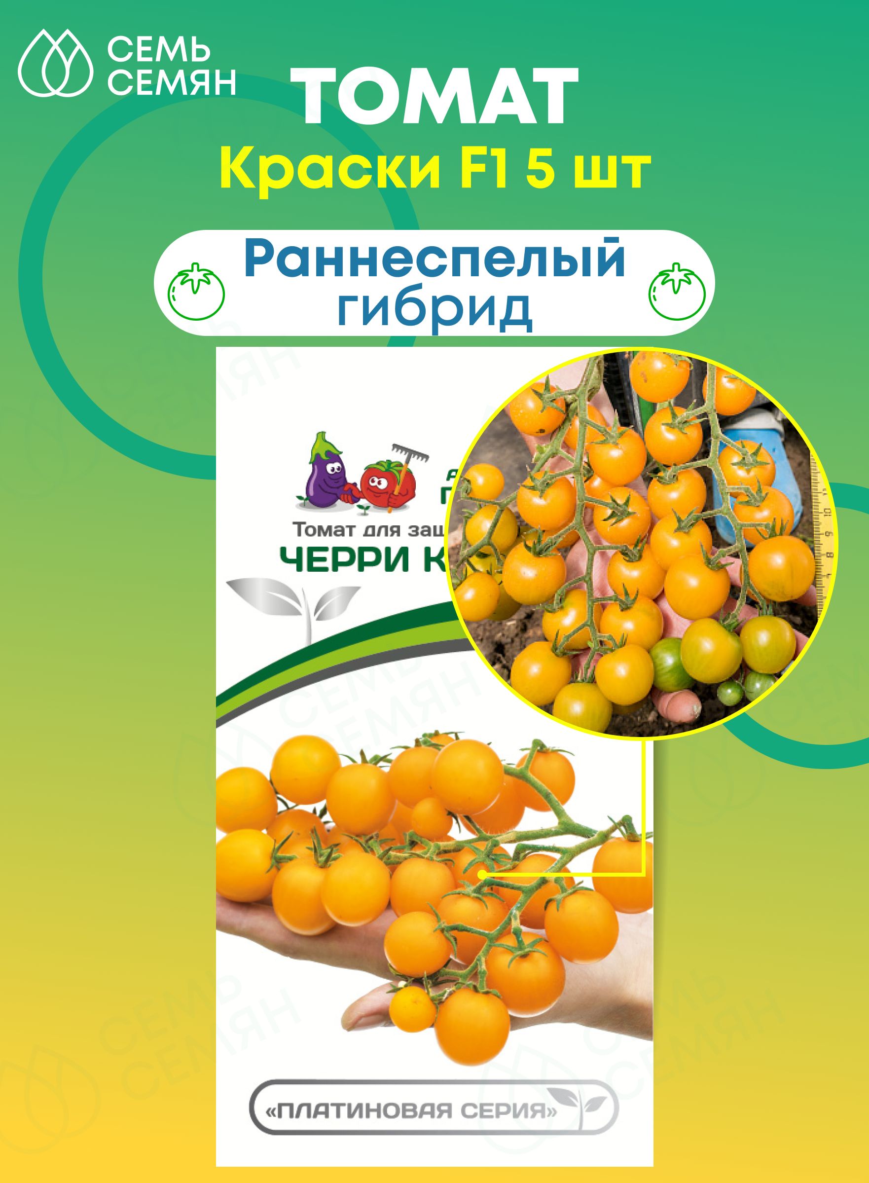 Семена Черри Краски Купить В Минске