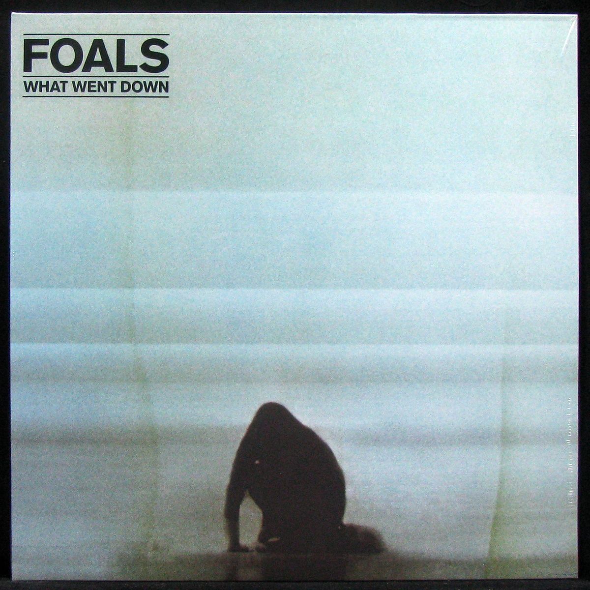 Everything goes down. Foals "what went down". What went down. Foals – what went down (LP). Foals "what went down (CD)".