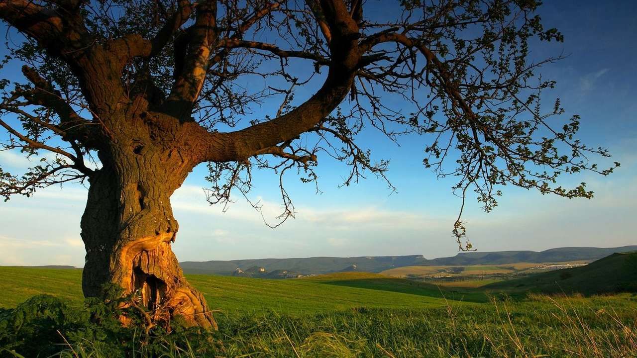 На переднем плане