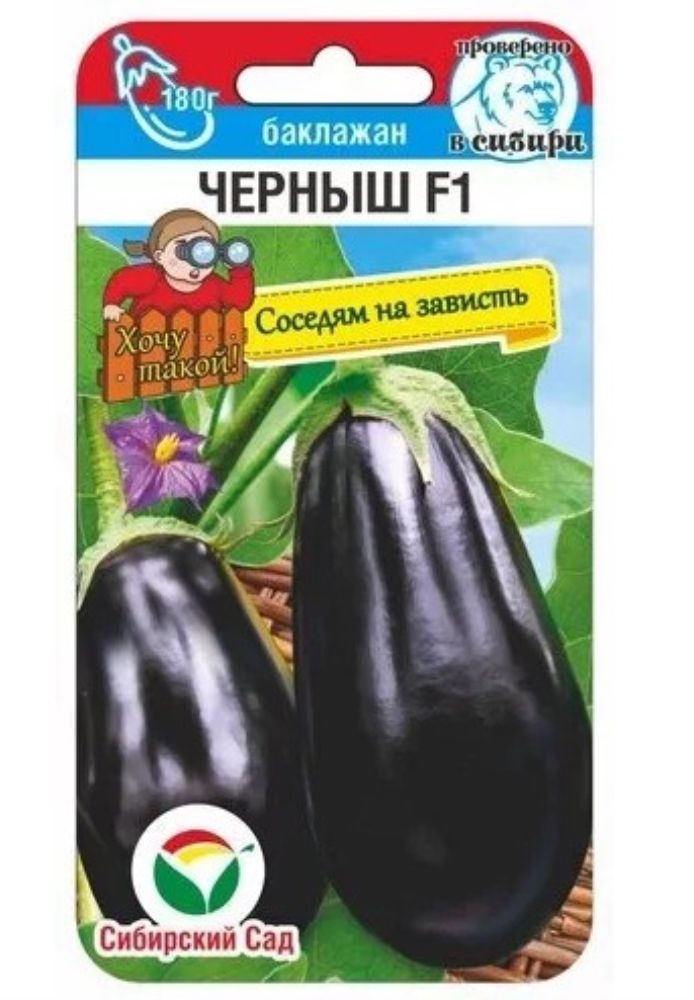 Баклажан нн