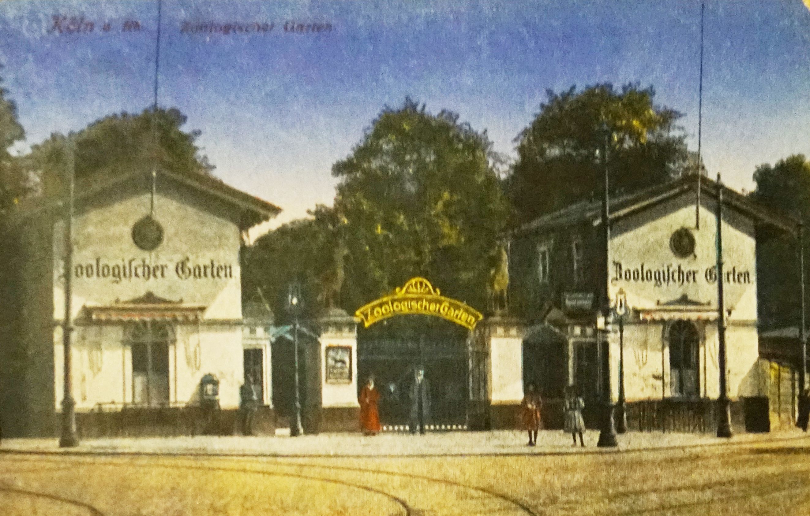 Антикварная открытка "Кельн. Зоопарк", Германия, 1910-1920