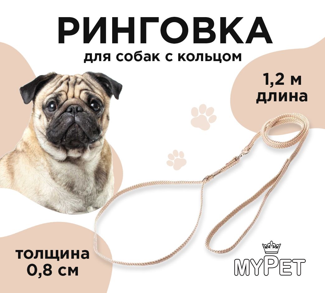 myPet Ринговка с кольцом для выставок и дрессировки Кэмел, поводок, зоотовары