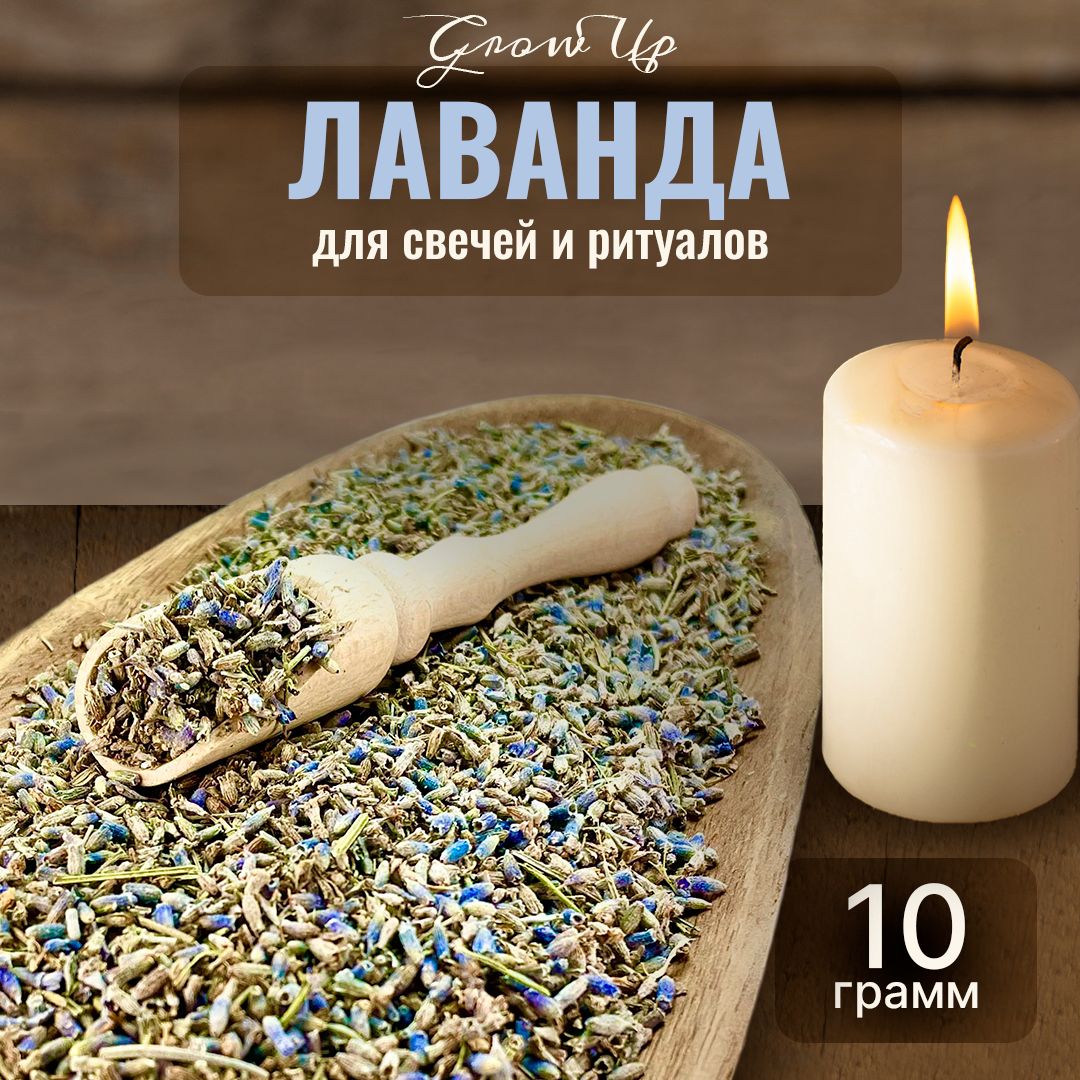 Сухая трава Ромашка для свечей и ритуалов 10 гр. 9704450.