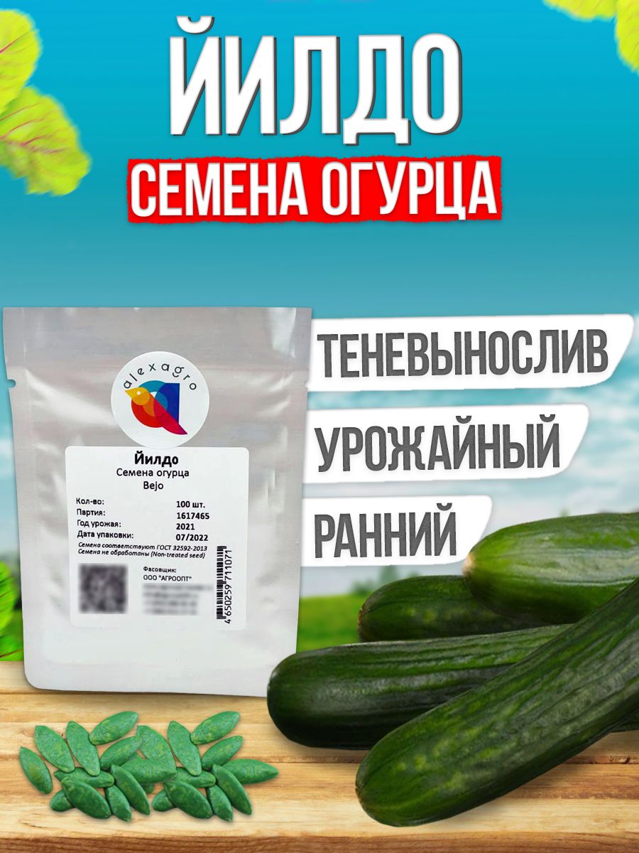 Йилдо семена огурца ранние, 100 шт. (Bejo / ALEXAGRO). Высокоурожайный, партенокарпический гибрид для открытого грунта и пленочных теплиц