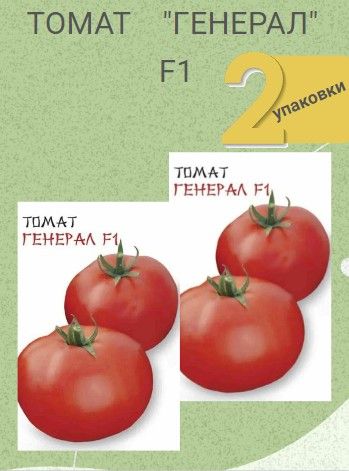Томат генерал отзывы фото