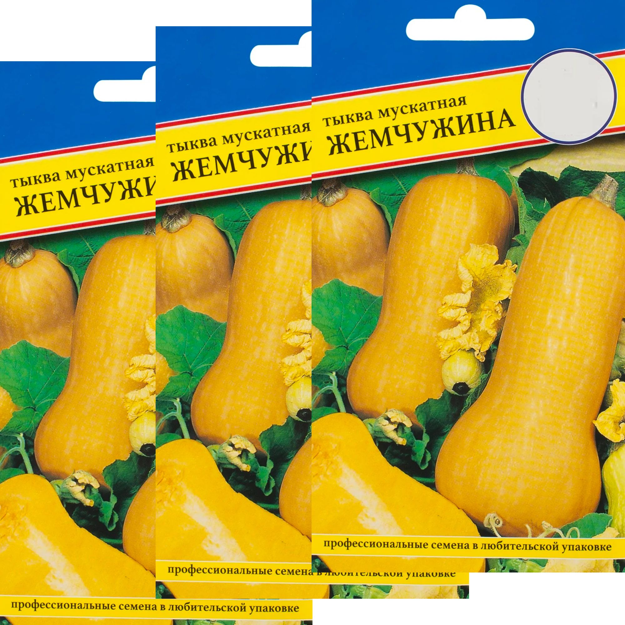 Тыква Жемчужина Фото
