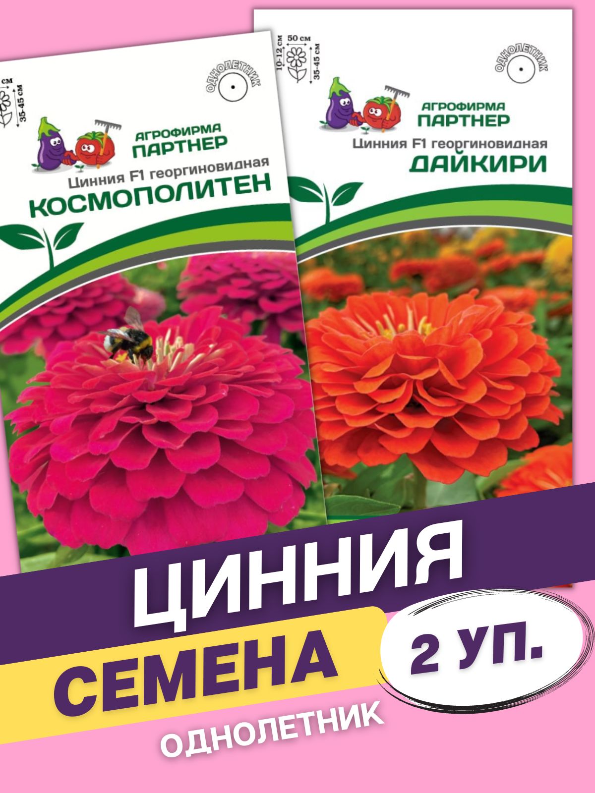 Цинния георгиновидная "сочные тропики" f1 дайкири. Цинния малиновый щербет. Циния партнер семена. Цинния малиновый щербет партнер. Агрофирма партнер семена цветов цинии.