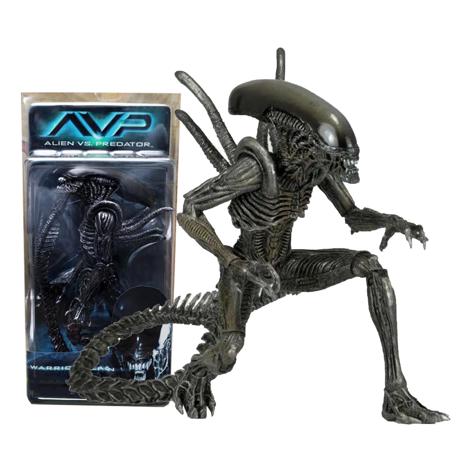 Alien vs predator collection steam фото 50