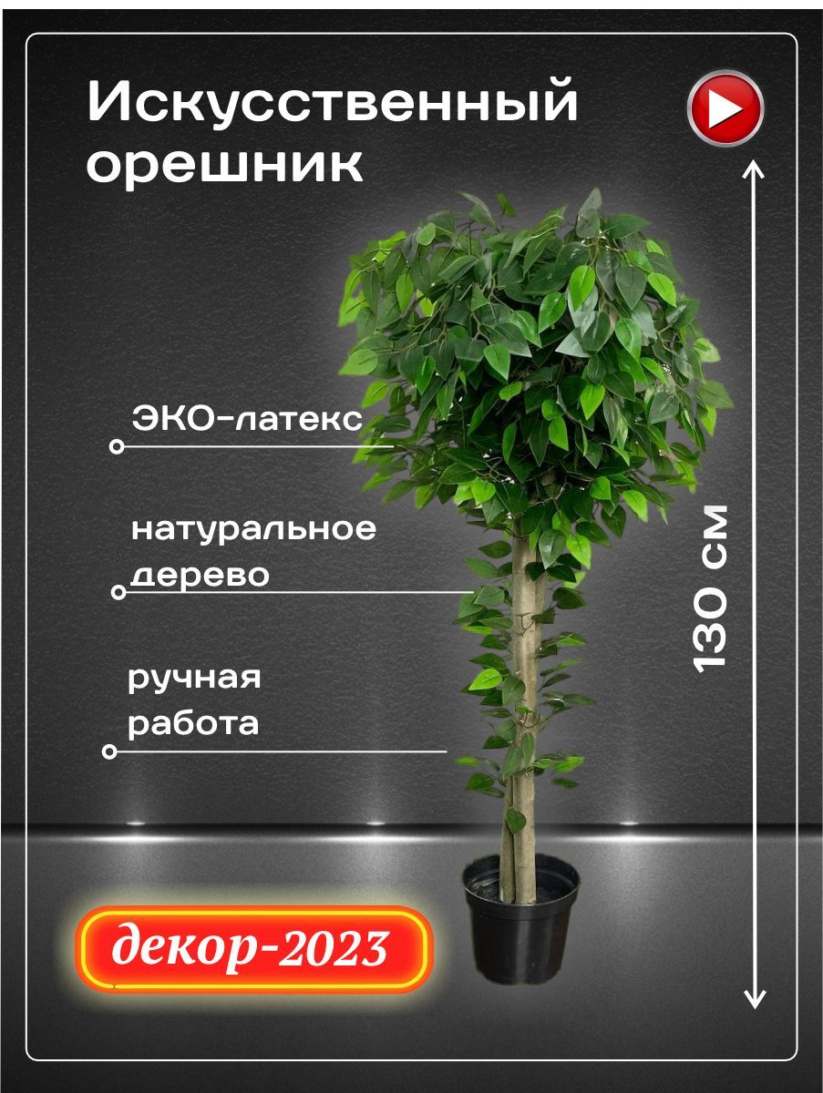 Купить Искусственный орешник для декора интерьера в кашпо, 130 см по  выгодной цене в интернет-магазине OZON.ru (886239384)