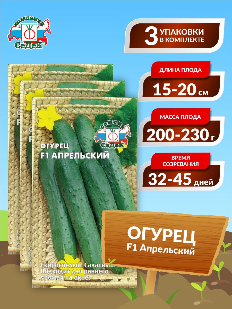 Огурцы Апрельский F1 Отзывы Фото