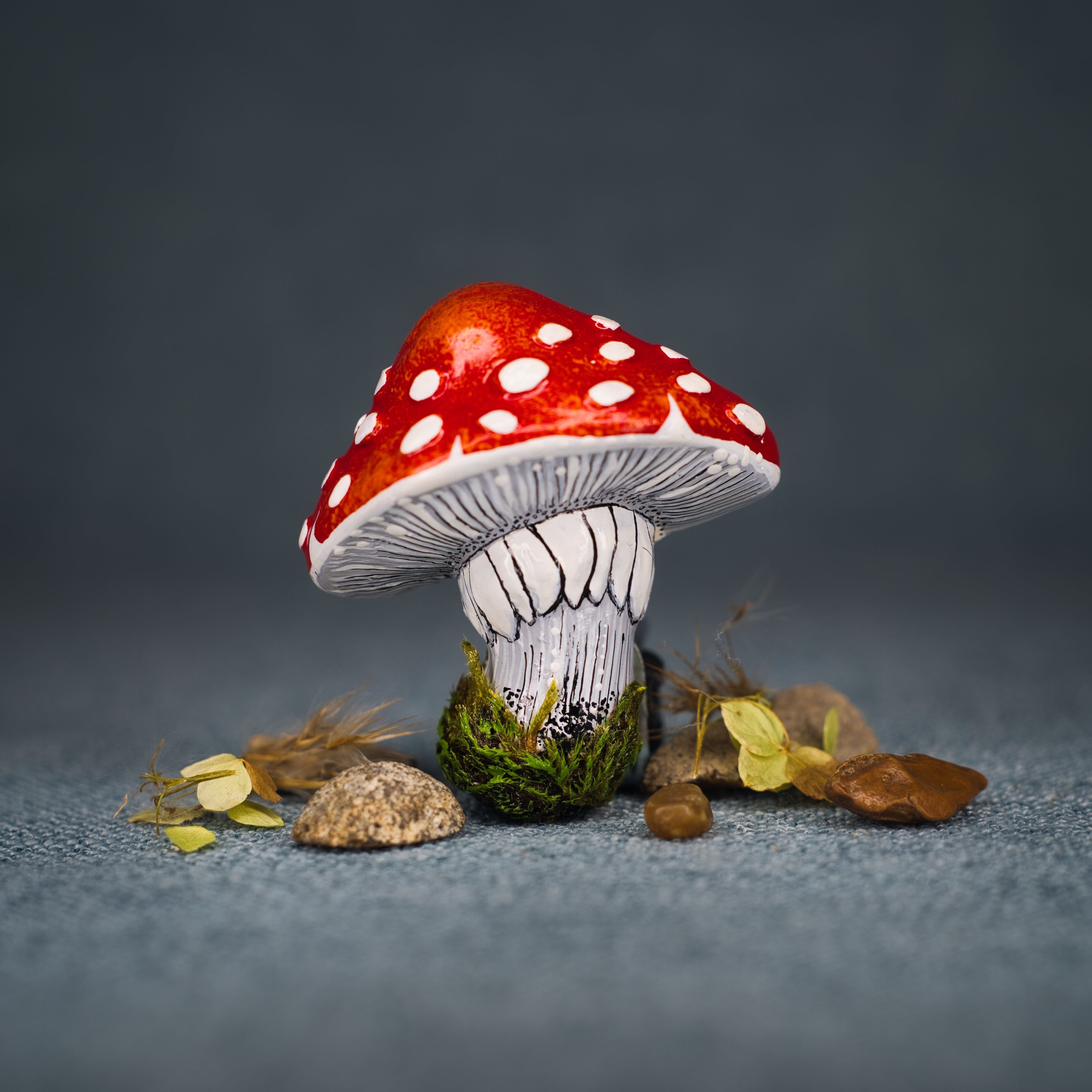 Мухомор Красный Купить