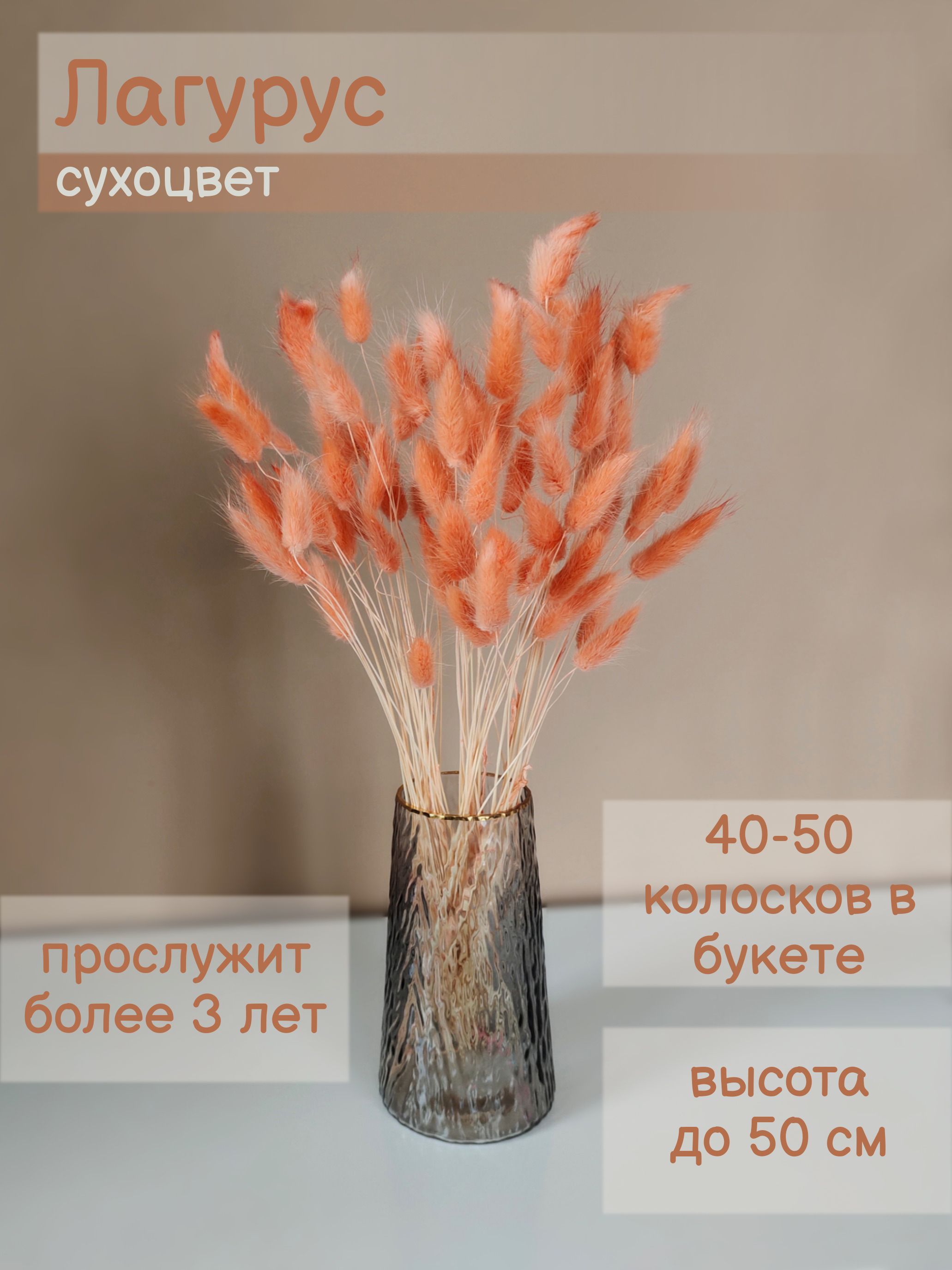 СухоцветыЛагурус,50см,100гр,50шт