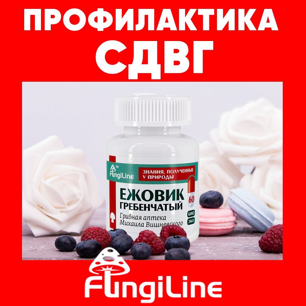 Ежовик капсулы 60 штук / средство при гиперактивности и дефиците внимания /  Грибная аптека Михаила Вишневского - купить с доставкой по выгодным ценам в  интернет-магазине OZON (950641081)