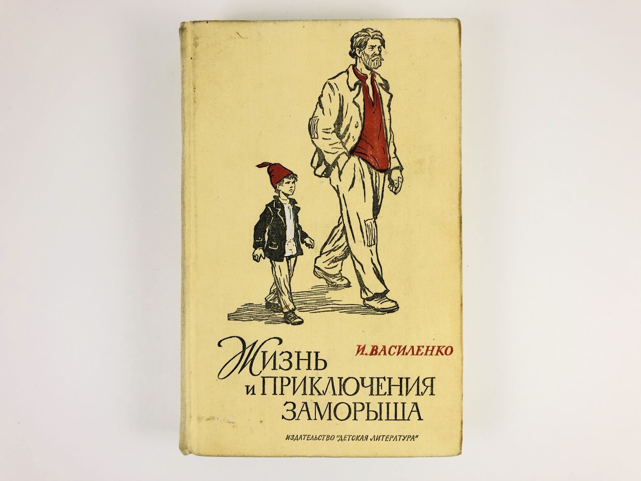 Приключения заморыша. Жизнь и приключения заморыша рисунок. Д. Жизнь и приключения заморыша детская литература. Жизнь и приключения читать.
