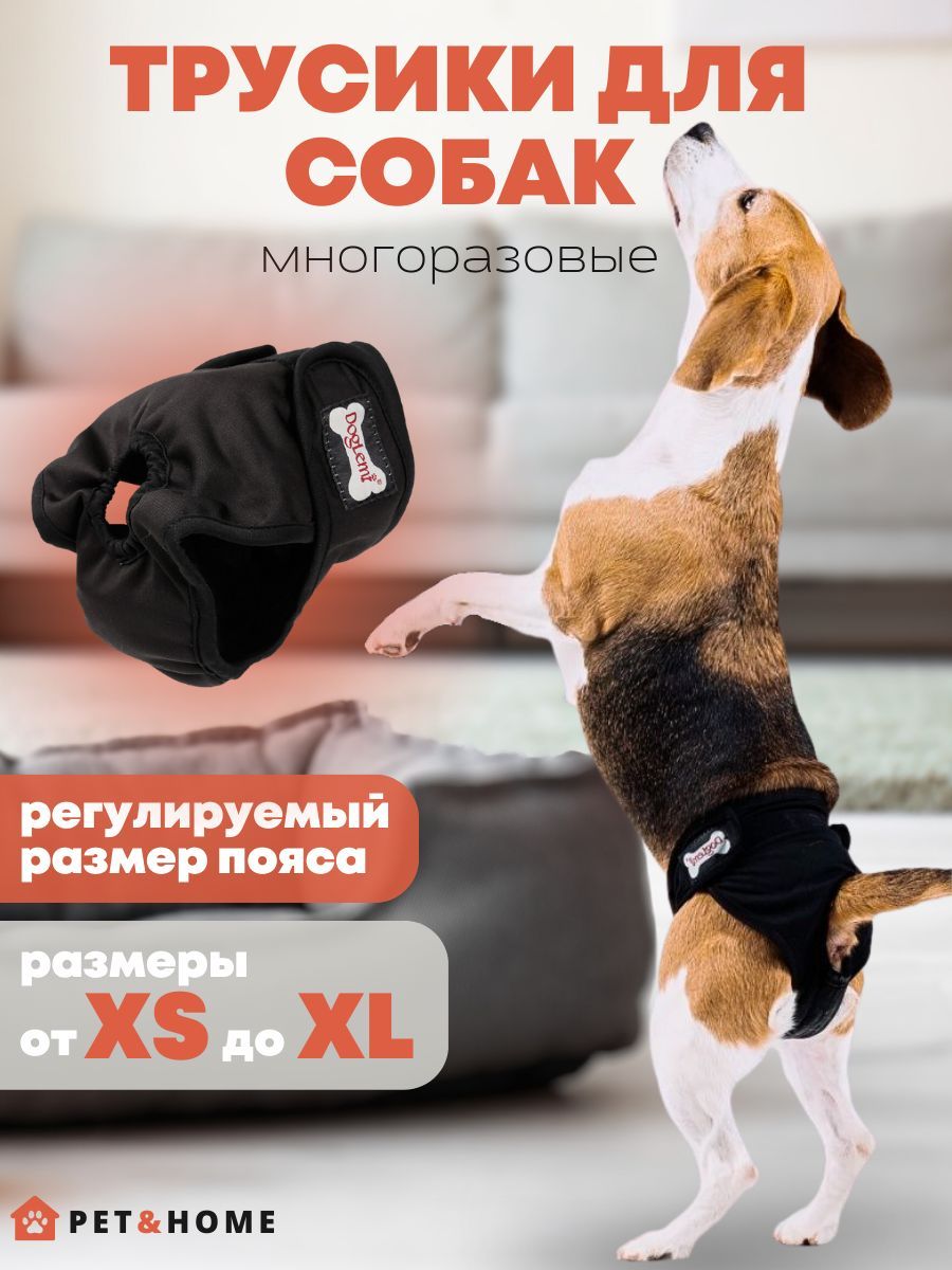 Трусы для собаки во время течки PET&HOME, подгузник для собак, черный,  размер XL