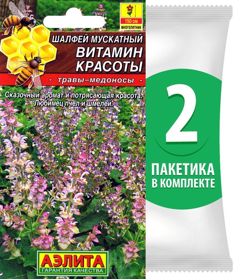 Шалфей Семенами Цена