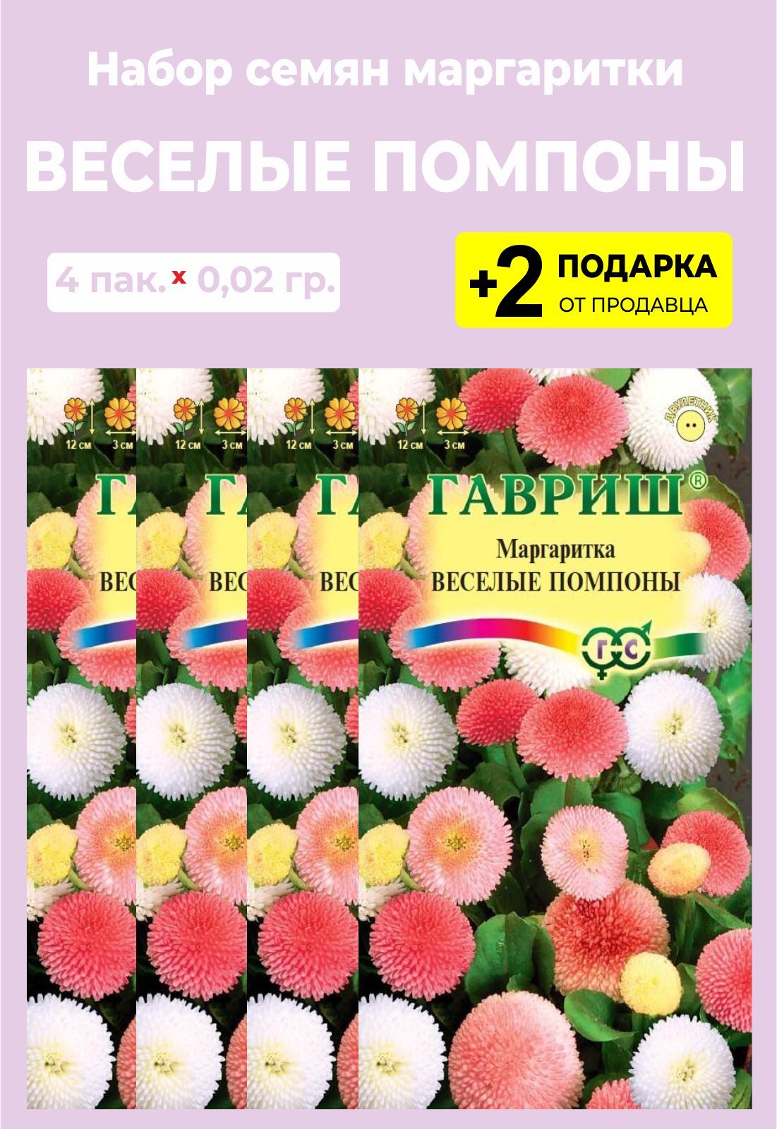 Маргаритки Семена Купить