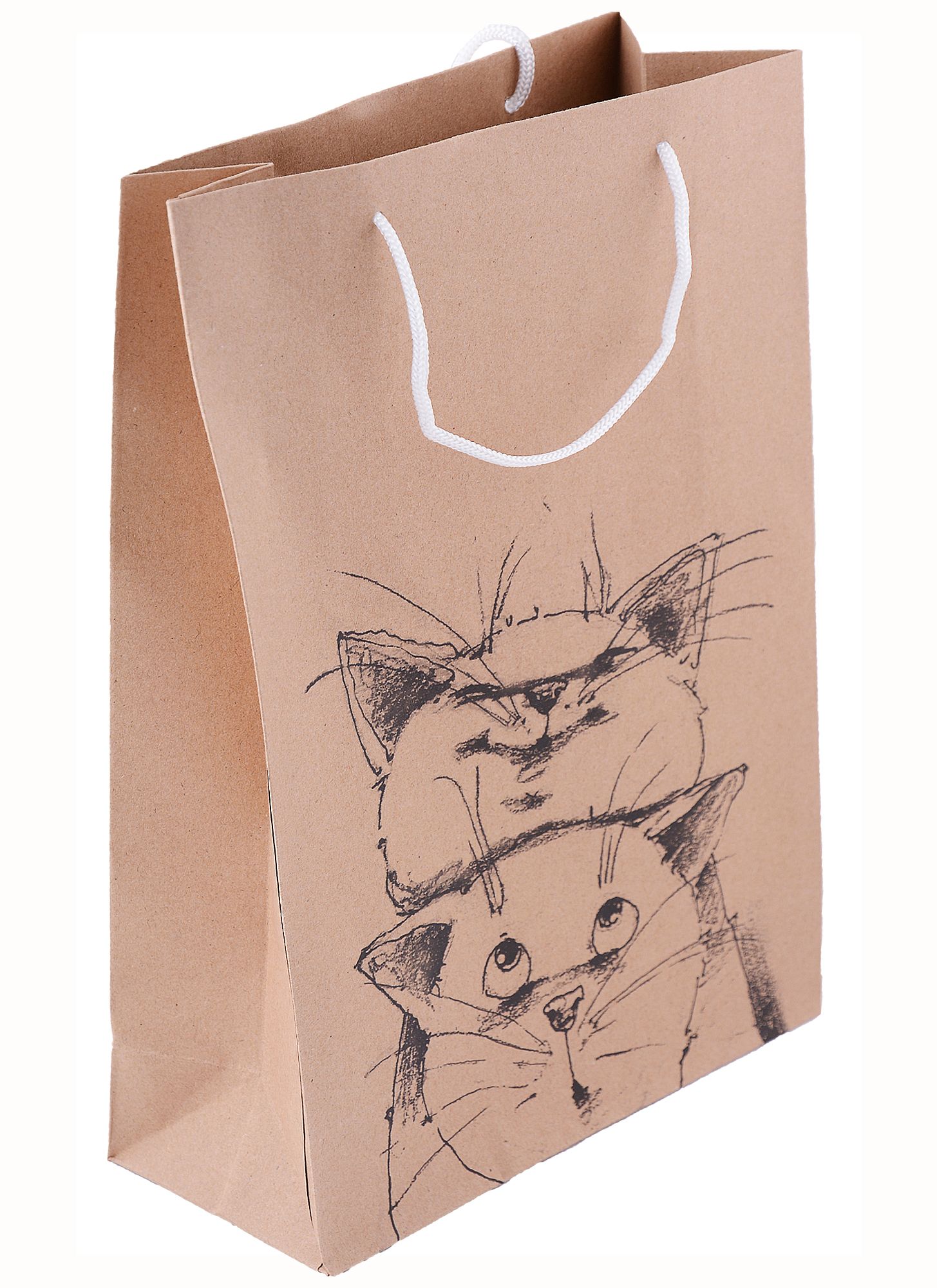 котики на крафте блокнот. котик на крафтовой бумаге карандашами яркий. рисунки котыэов на крвтовой юумаге. крафт. крафтовая кошка.